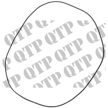 Massey Ferguson Square Axle "O" Rings 240 399 42s 43s - PACK OF 2 - PRICE PER UNIT - 1860838