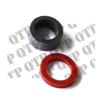 O Ring Injector  - 580258