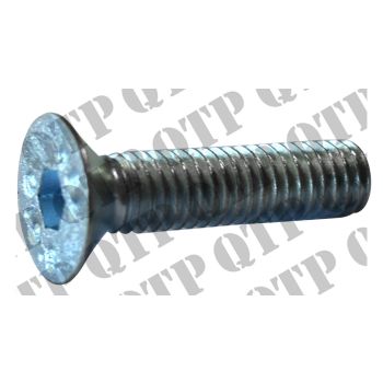 Massey Ferguson Door Latch to Frame Screw 300&#039;s - PACK OF 2 - PRICE PER UNIT - 61136